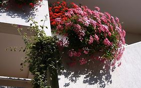 Apartments Villa Martinuzzi